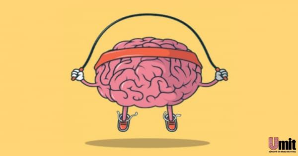 Làm thế nào để phát huy não trái hoặc não phải